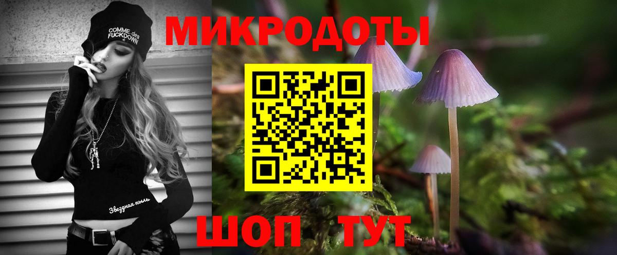 Галлюциногенные грибы Psilocybe  хочу   Рославль  Вход с VPN 